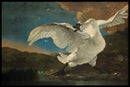 Jan Asselijn - The Threatened Swan - Walljar