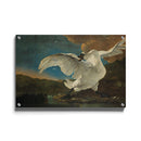 Jan Asselijn - The Threatened Swan - Walljar