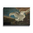 Jan Asselijn - The Threatened Swan - Walljar