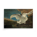 Jan Asselijn - The Threatened Swan - Walljar