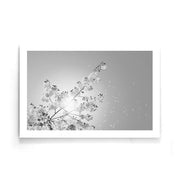 Bloemen poster