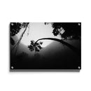 Tropische wanddecoratie