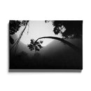 Tropische wanddecoratie