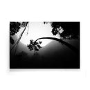 Tropische wanddecoratie