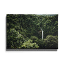 Tropische wanddecoratie