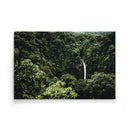 Tropische wanddecoratie