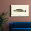 Afrikaanse schilderijen