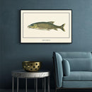 Afrikaanse schilderijen