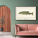 Afrikaanse schilderijen