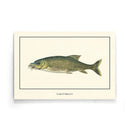 Afrikaanse schilderijen