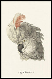 Dieren poster