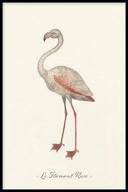 Dieren poster