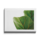 Leaf Close Up canvas