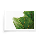 Leaf Close Up poster - Walljar