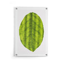 Planten poster
