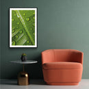 Planten poster