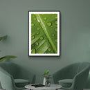 Planten poster