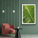 Planten poster