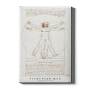 Vitruvian man poster