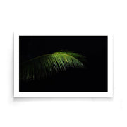 Planten poster