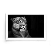 Dieren poster