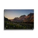 Gebergte bloemenveld poster