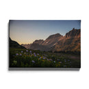 Gebergte bloemenveld poster