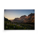 Gebergte bloemenveld poster