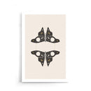 Moonstar Butterfly poster