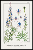 Maurice Verneuil - Aconite (monkshood) - Walljar