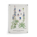 Maurice Verneuil - Aconite (monkshood) - Walljar