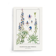 Maurice Verneuil - Aconite (monkshood) - Walljar