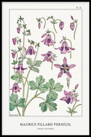 Maurice Verneuil - Ancolie (columbine) - Walljar