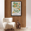 Maurice Verneuil - Capucine (nasturtium) - Walljar