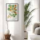 Maurice Verneuil - Capucine (nasturtium) - Walljar