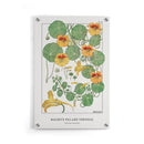 Maurice Verneuil - Capucine (nasturtium) - Walljar
