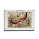 Maurice Verneuil - Faisans Ordinaires - Walljar