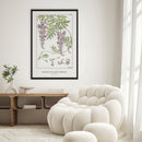 Maurice Verneuil - Glycine (wisteria) - Walljar