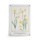 Maurice Verneuil - Jonquille or Jonquil - Walljar