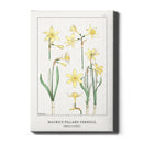 Maurice Verneuil - Jonquille or Jonquil - Walljar