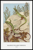 Maurice Verneuil - Lézard - Walljar