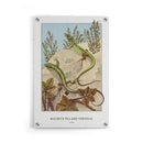 Maurice Verneuil - Lézard - Walljar