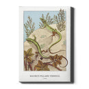 Maurice Verneuil - Lézard - Walljar