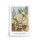 Maurice Verneuil - Lézard - Walljar