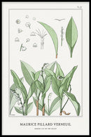 Maurice Verneuil - Muguet (lily of the valley) - Walljar