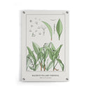 Maurice Verneuil - Muguet (lily of the valley) - Walljar