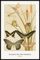 Maurice Verneuil - Papillions - Walljar