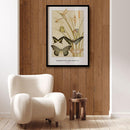 Maurice Verneuil - Papillions - Walljar