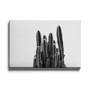 Cactus poster