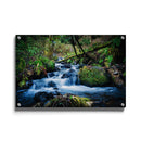 Tropische wanddecoratie